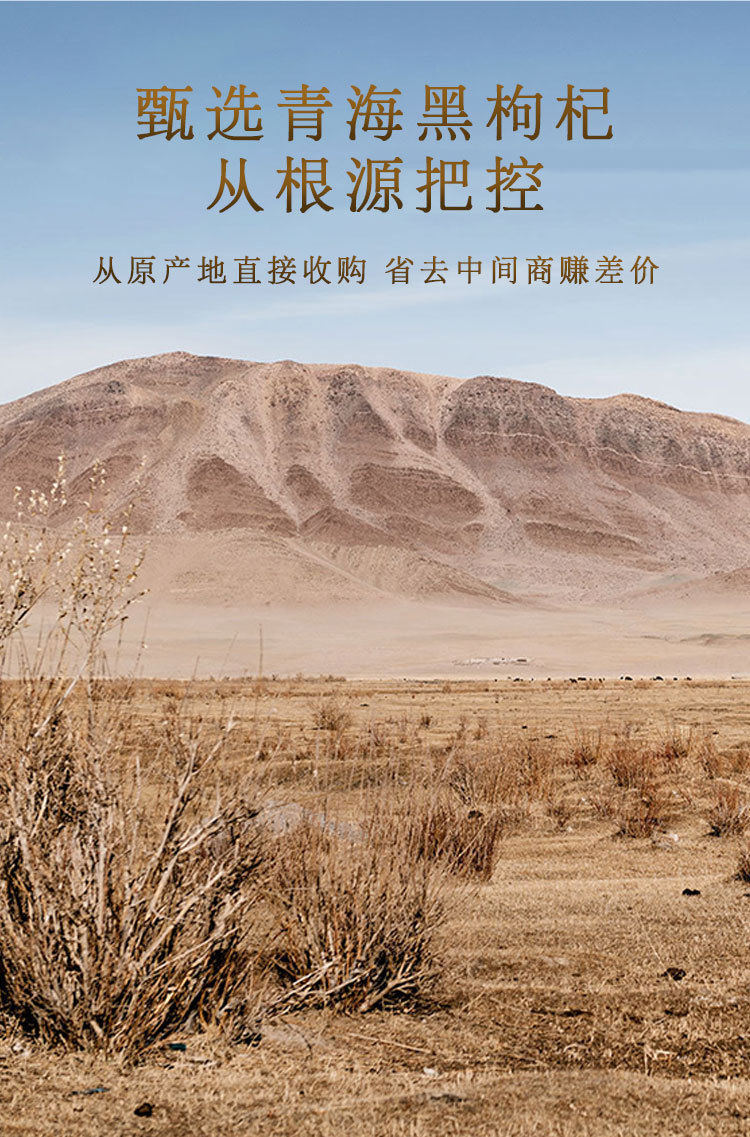 详情_05.jpg