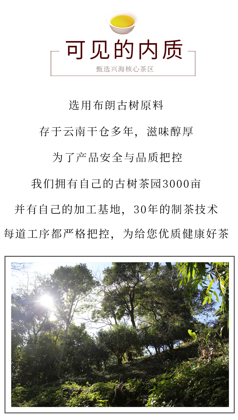 详情页_02.jpg