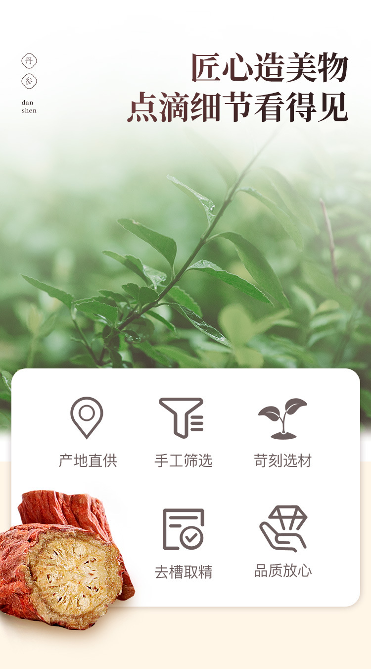 Salvia details _07 jpg